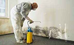 Best Water Damage & Mold Remediation  in Cramerton, NC